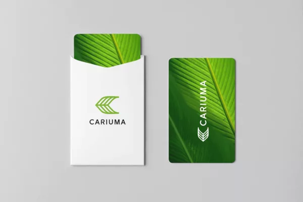 a gift card and sleeve from cariuma shoe company showing stylization and brand colors