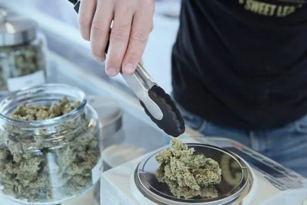 a budtender weighs flower at a retail cannabis small business 
