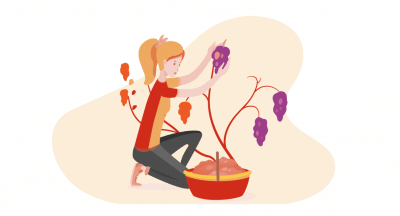 Illustration of woman harvesting grapes for a vineyard