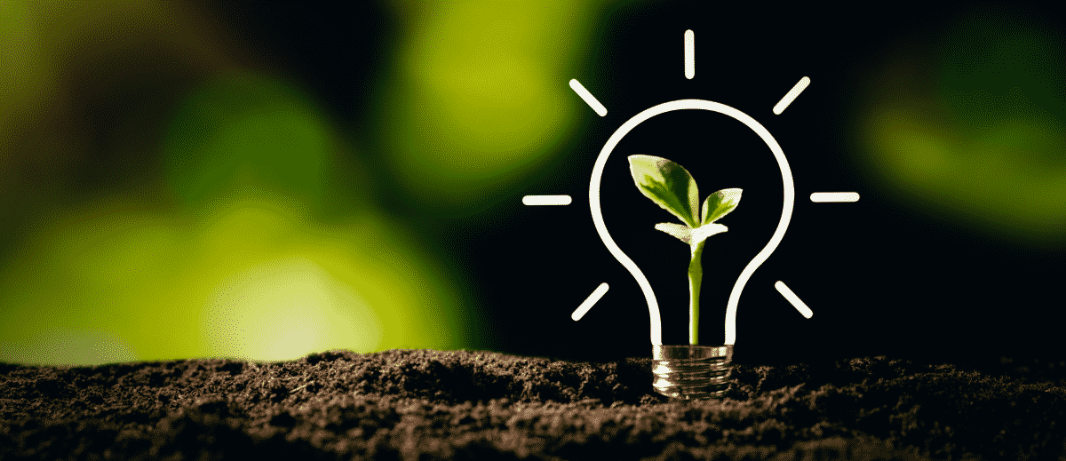 a lightbulb drawing around a small plant sprout sitting in fresh soil