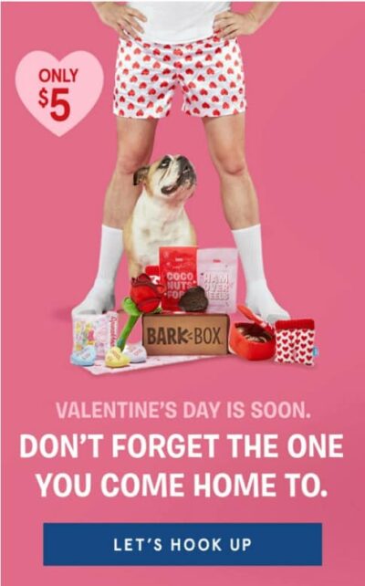 A Valentine's Day promo ad from Bark Box'