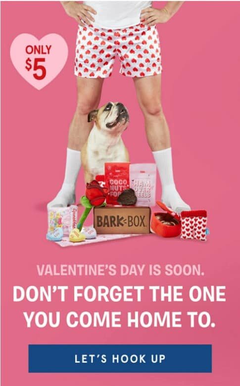 Picture showing a Valentine's Day marketing idea for pets.