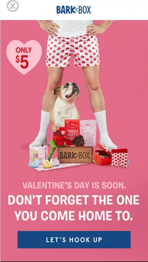 Picture showing a Valentine's Day promotion idea for pets.