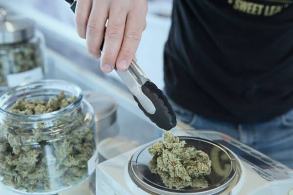 a dispensary budtender weighs cannabis flower for a customer