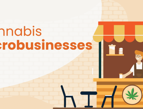 Marijuana Microbusinesses: Craft Cultivation and Retail