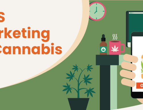 Cannabis SMS Marketing : A Guide For Dispensaries