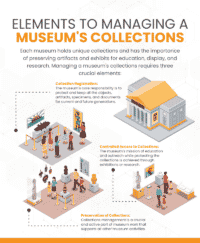 How To Manage Collections At A Museum