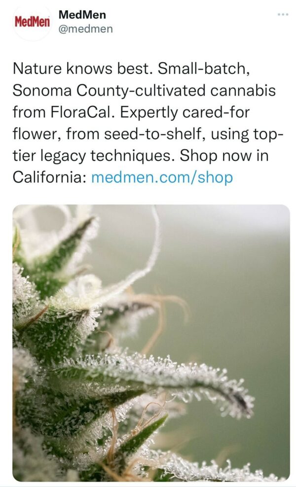 a tweet from medmen cannabis dispensary showing a marijuana flower bud and promoting ecommerce sales