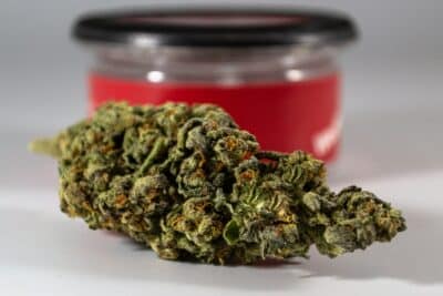 a bud of cannabis flower sits in front of a jar