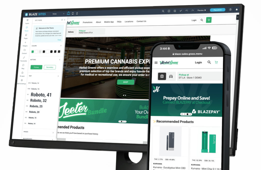 Image showing an illustration of Blaze POS dashboard.