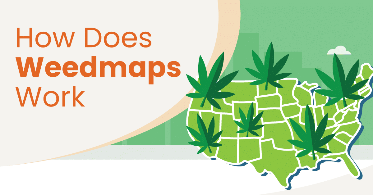 a graphic showing a map of the United States with cannabis leaves on top