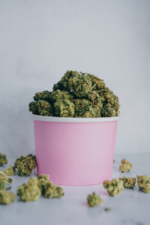 a photo of a pink paper cup full of cannabis buds