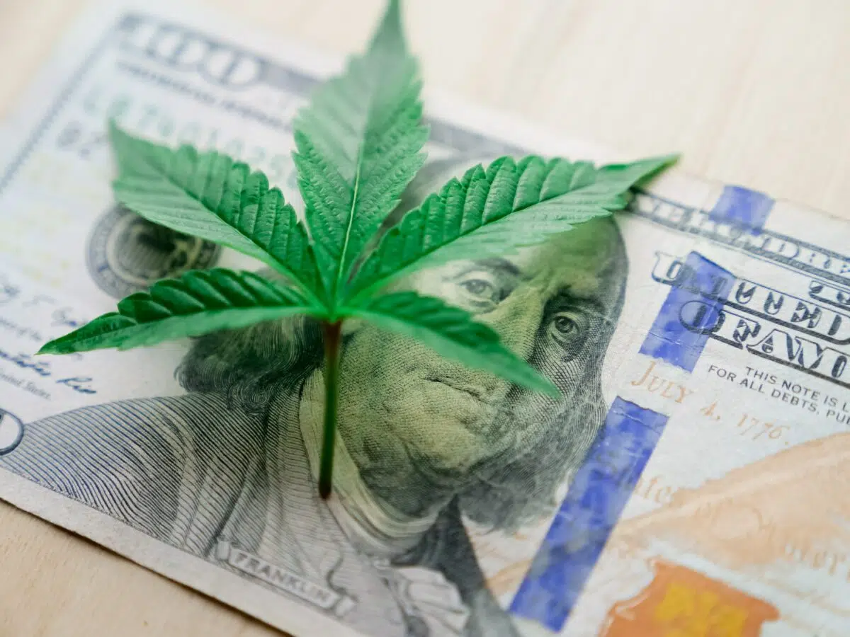 a hundred dollar bill with a marijuana leaf on top