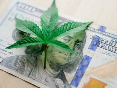 a photo of a green marijuana leaf sitting on top of a hundred dollar bill