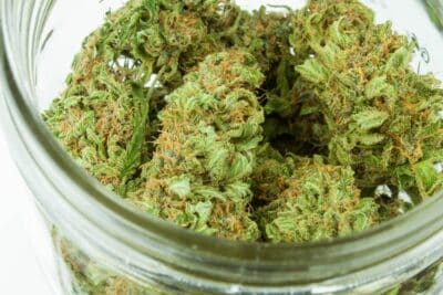 a photo showing cannabis flower in a jar