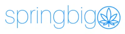 springbig logo