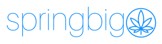 springbig marketing platform logo