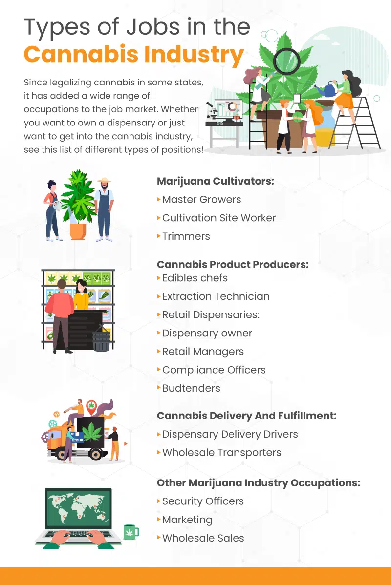 an infographic on types of jobs in the cannabis industry