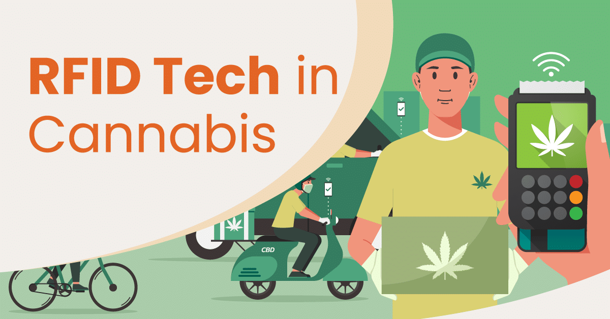 a graphic showing a person using technology for cannabis