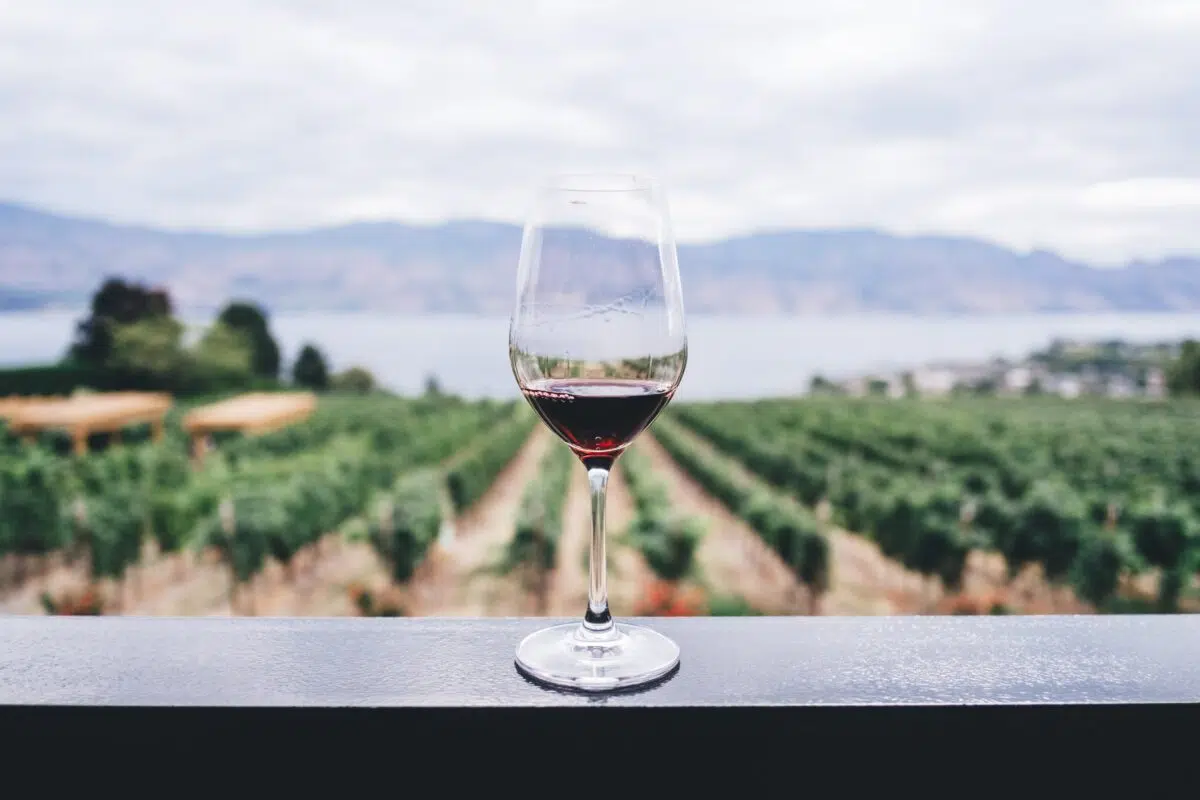 a glass of red wine sits on a counter with winery grapevines and mountains in the background