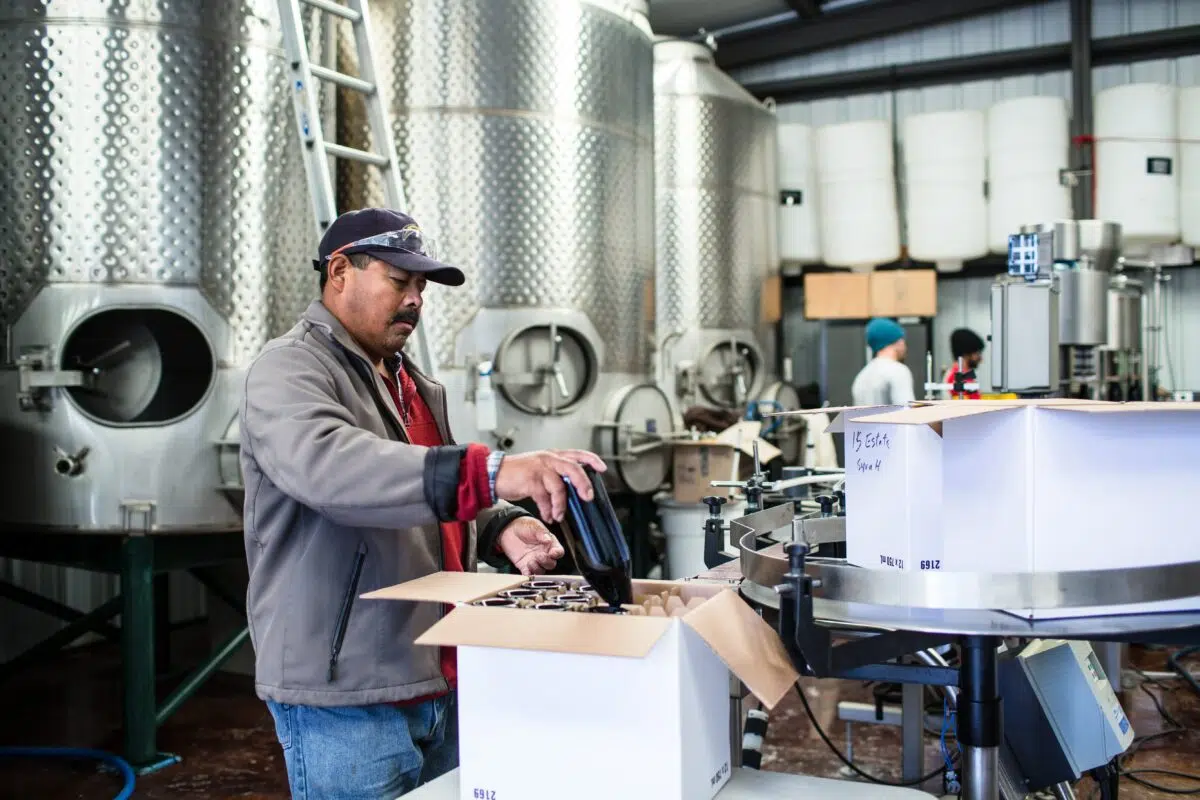 a winery employee packs bottles into a cardboard box