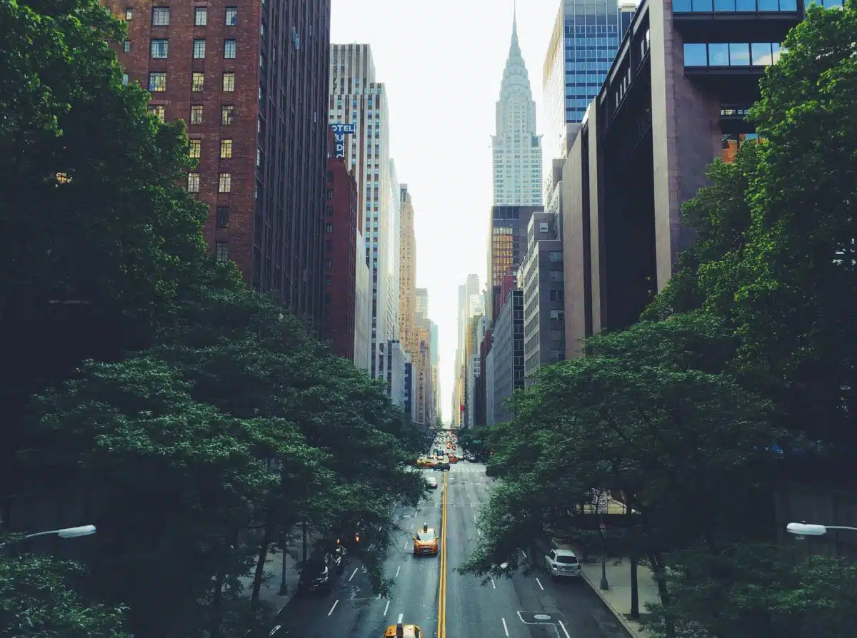 a street in Manhattan with trees and big buildings including the Chrysler building 