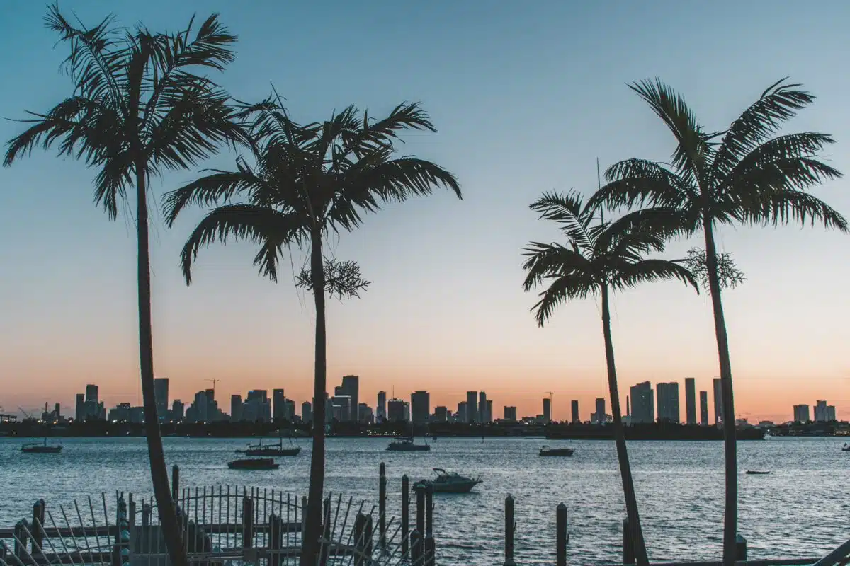 a sunset in Florida with a bay. palm trees, and buildings pictured