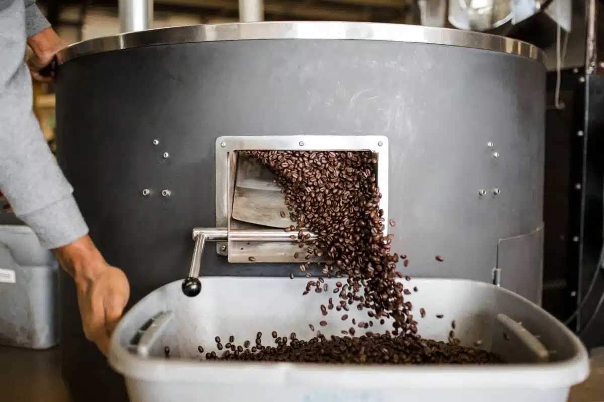 large coffee roaster spitting out beans after they've been roasted