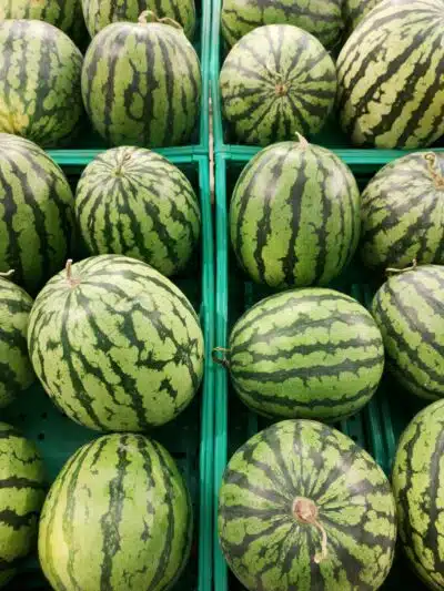 watermelon sit on display