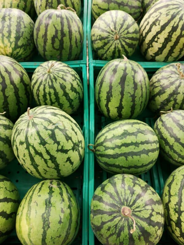 a photo showing watermelons at a farm stand