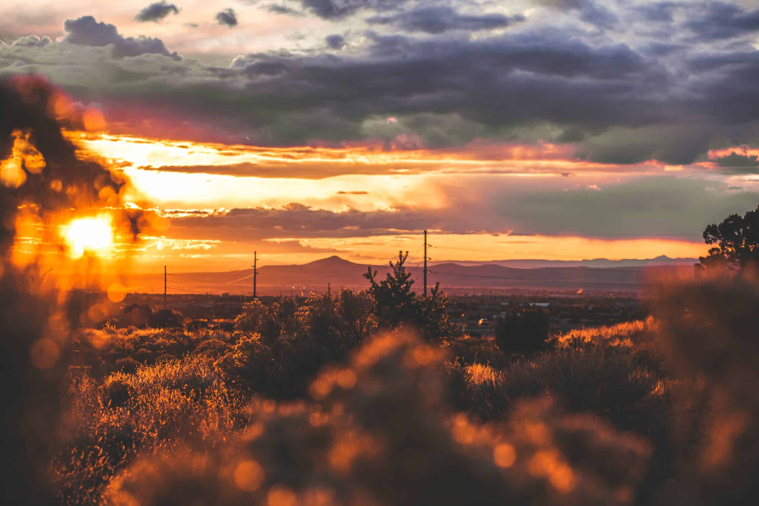 the New Mexico dessert at sunset