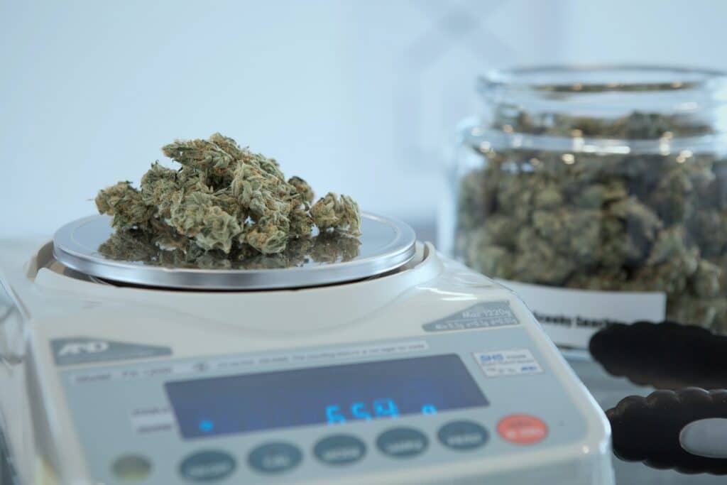 Best Weed Scales for Marijuana Buds Top 10!