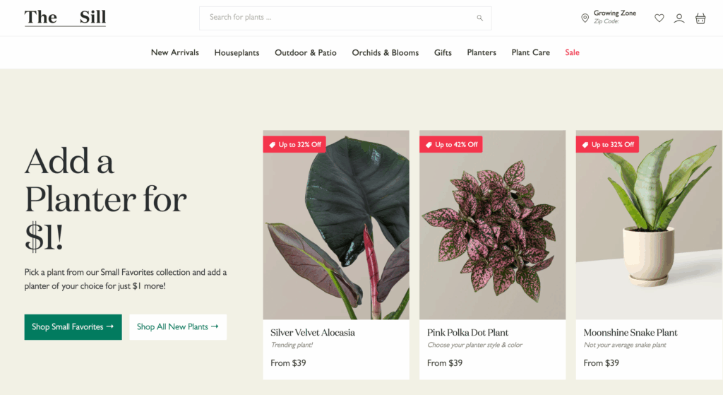 Image showing product of The Sill as part of their retail customer engagement.