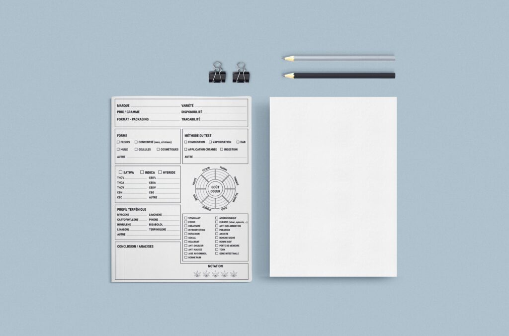 Modern invoice report generated by a retail invoicing software