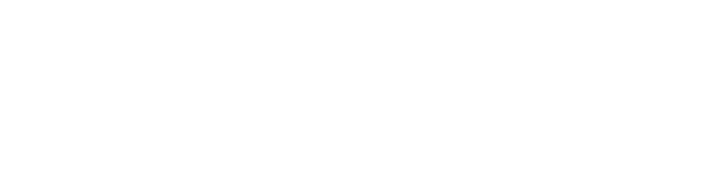 Demo Image